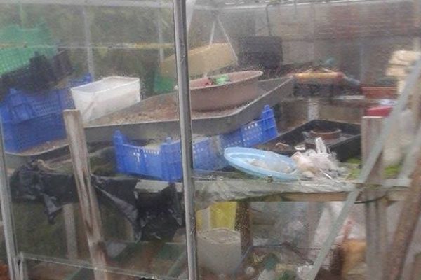 pencoed-property-clearance-492D3EE02-18E5-DE2C-48E1-376777875D9A.jpg